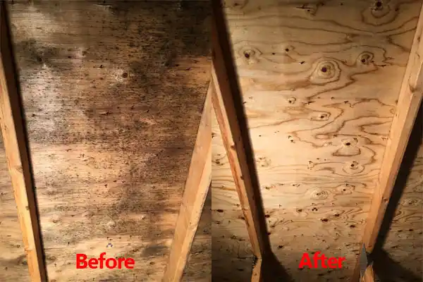 water damage restoration service Princeton Meadows